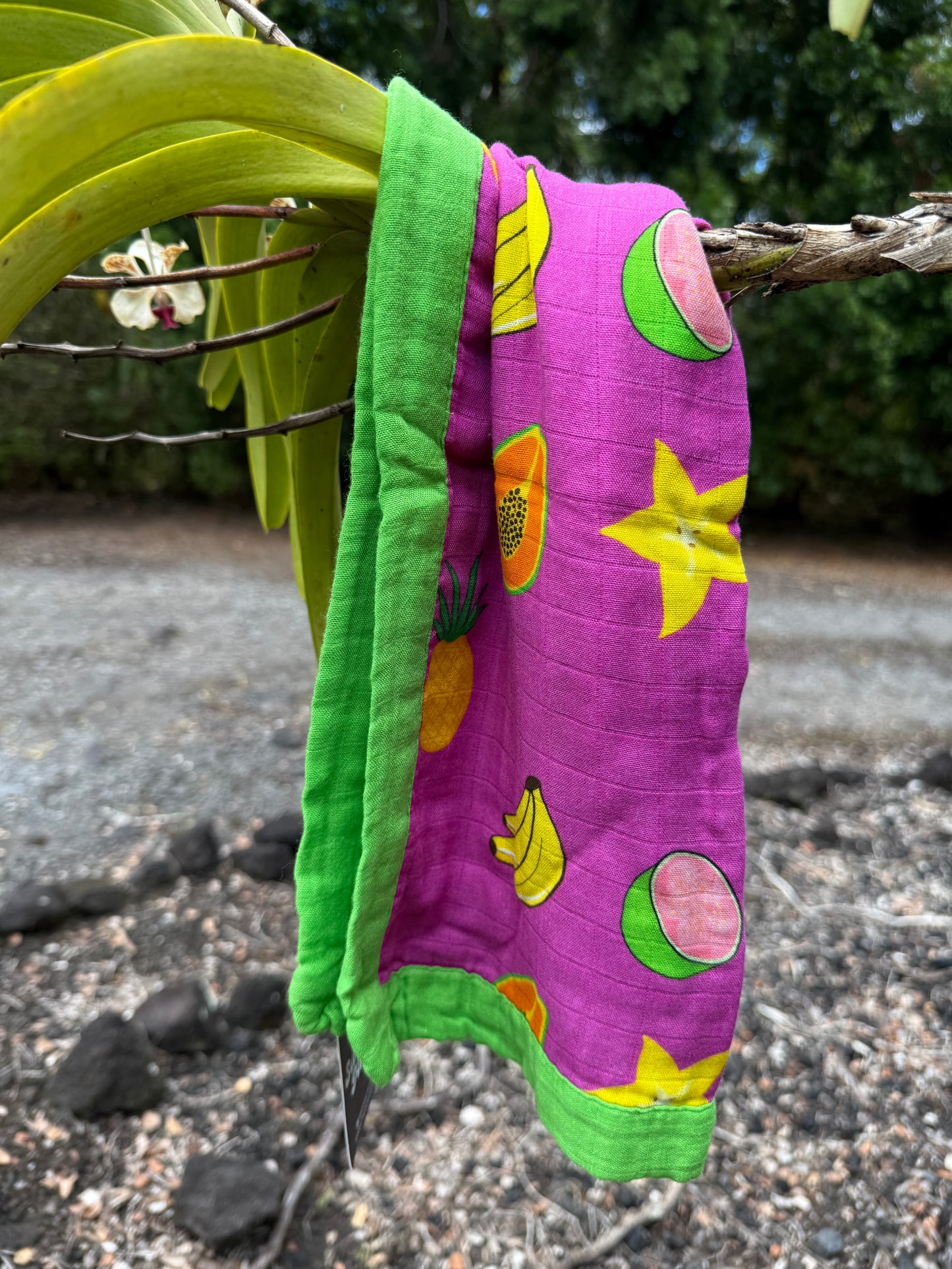 Tropical Jam, Security Blanket