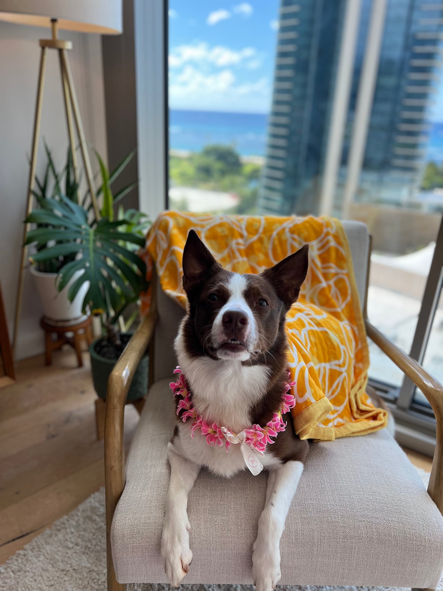 My Lovely Lei: Lilikoi, Quilt