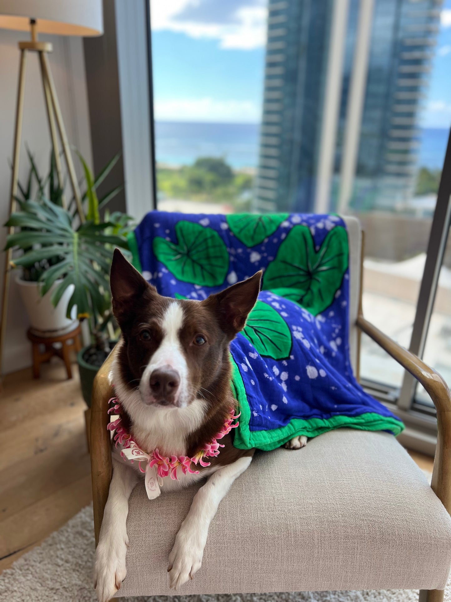 Kulolo Dreams, Quilt