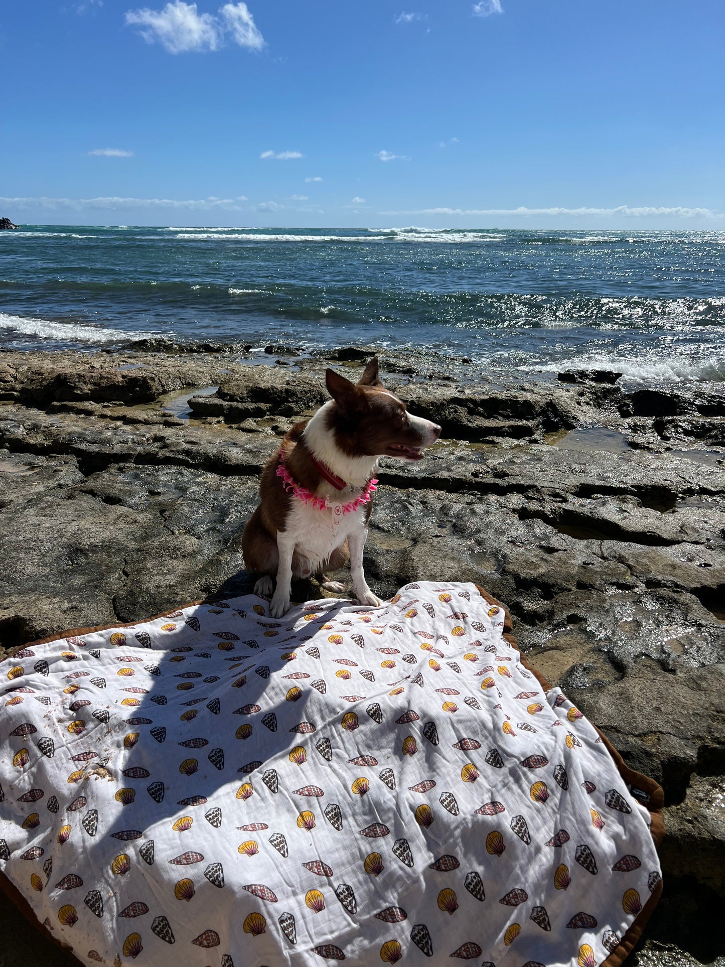 Tidepool Treasures, Quilt