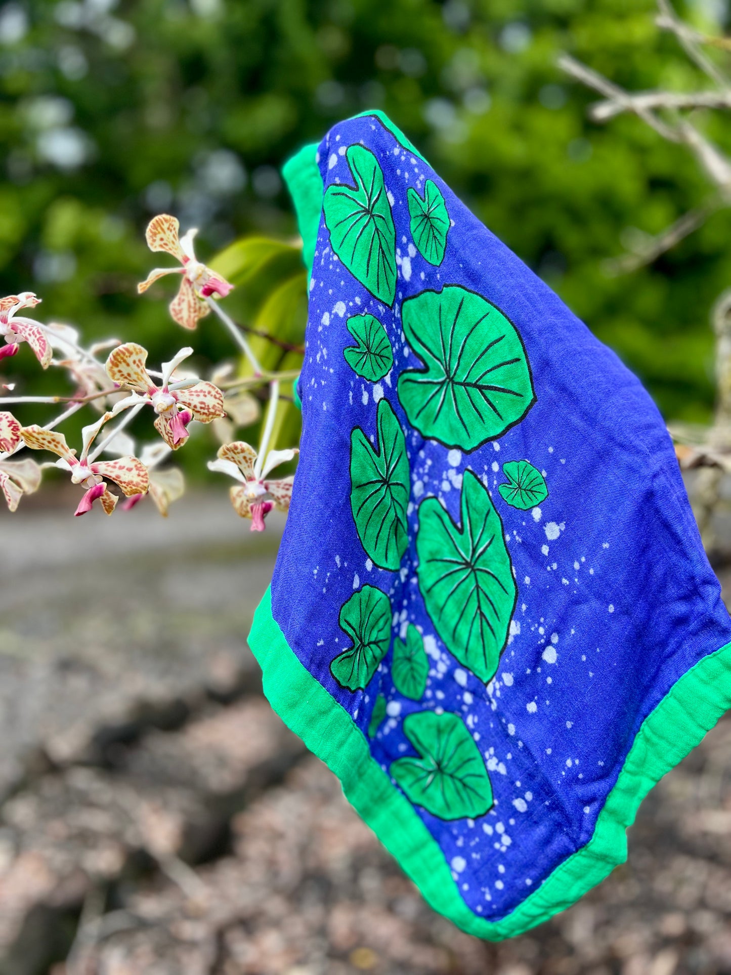 Kulolo Dreams, Security Blanket