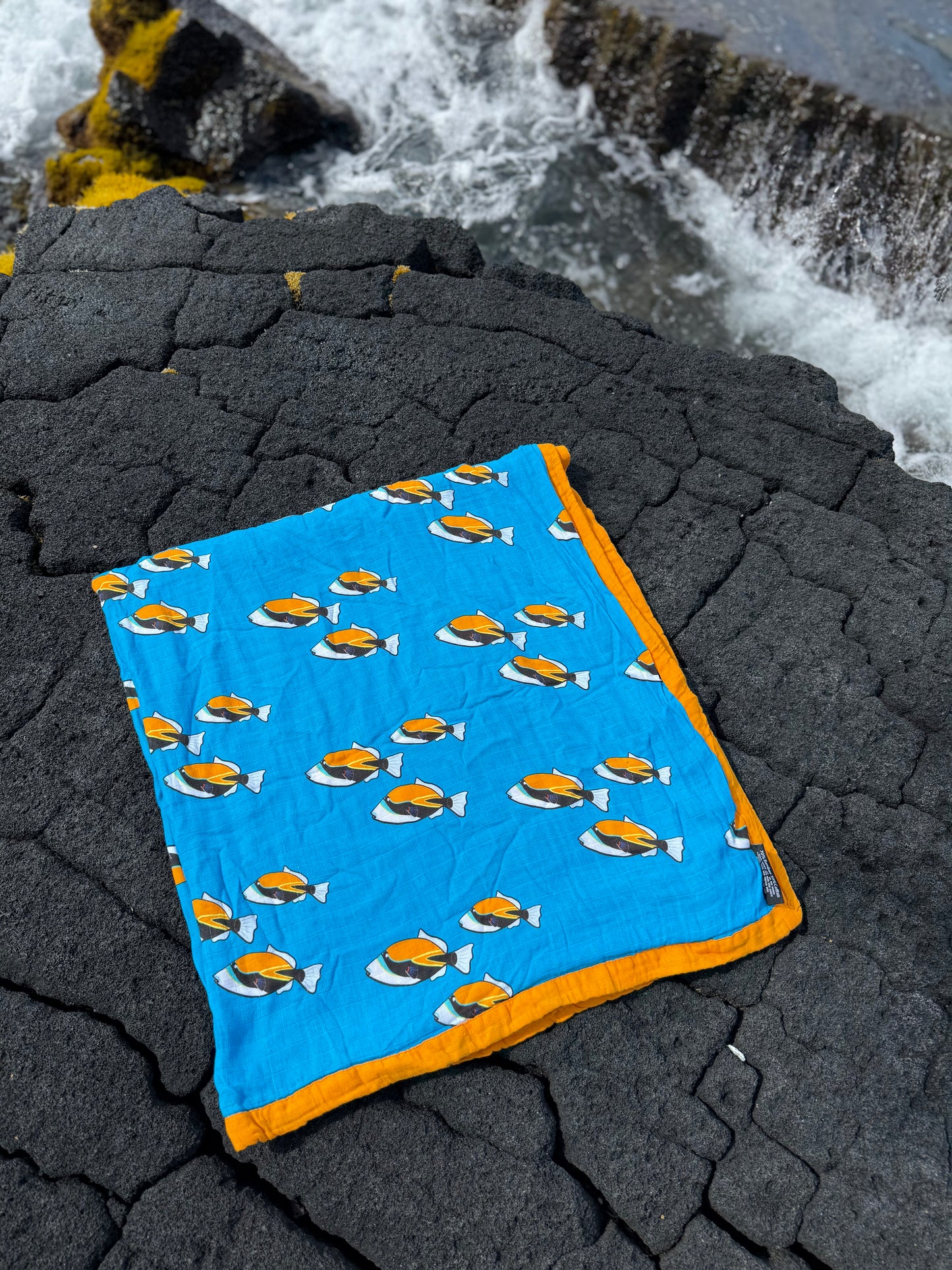 Sunny Wishes of State Fishes, Quilt